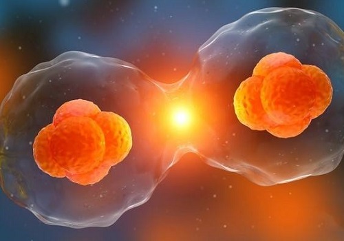 三代試管單胎和價格一樣嗎？