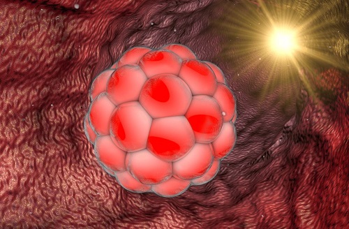 2021試管嬰兒費用可以走醫保嗎？