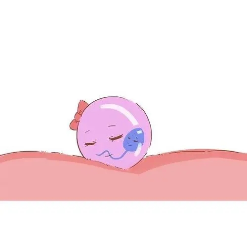 2021試管胚胎淘汰率，低嗎？