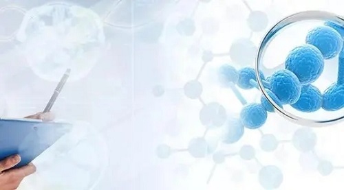 2022三代試管多少錢一次？