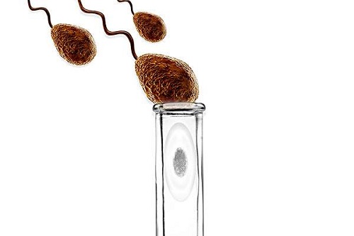 試管嬰兒是自己親生的嗎?要是弄錯怎么辦?