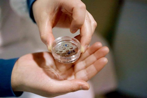 試管嬰兒成功率高的醫(yī)院有哪些