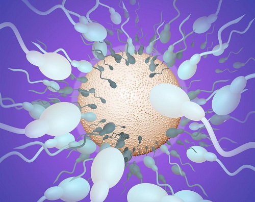 2022年深圳第三代試管嬰兒大概費用是多少?