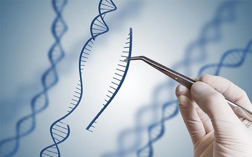 2022年10個人做試管嬰兒幾個能成功？很多人都不知道……