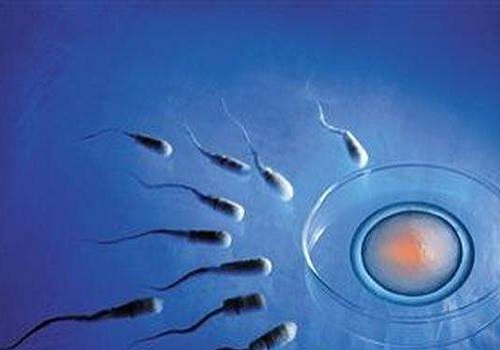 2022年合肥第三代試管嬰兒多少錢?