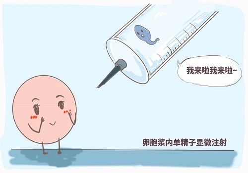 試管嬰兒費(fèi)用明細(xì)參考