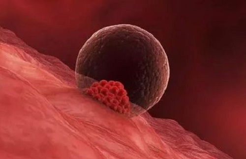 2021年36歲和37歲做試管嬰兒成功率有什么區別？