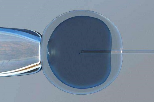 2022廣州第三代試管嬰兒成功率多高？