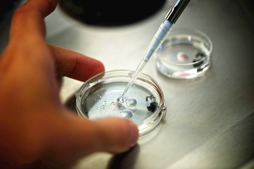 2021中國排名前十的試管嬰兒醫院一覽