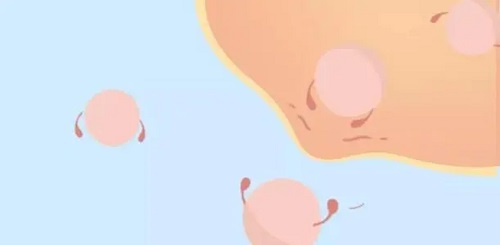 2022年沈陽第三代試管嬰兒多少錢？