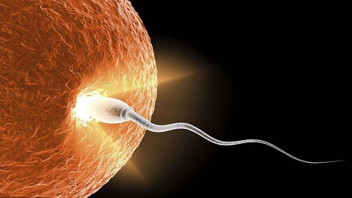 試管嬰兒的年齡要求高不高？