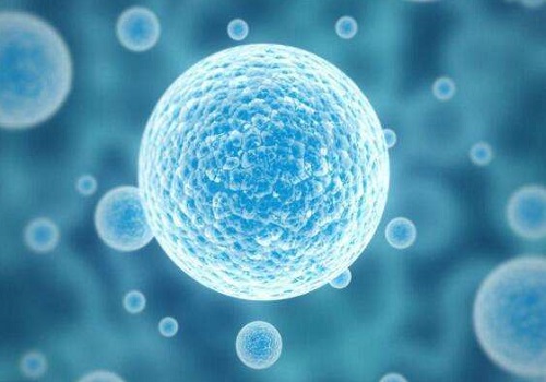 2022上海試管嬰兒成功率最高的是哪個醫院？