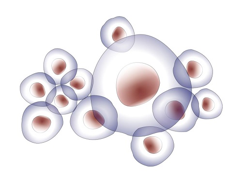 試管嬰兒的價(jià)格是怎么去計(jì)算呢