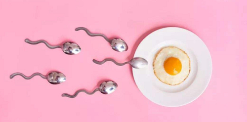 2021地中海貧血做三代試管嬰兒成功率怎么樣？