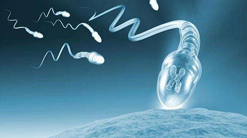2022哈爾濱第三代試管嬰兒價格貴么？