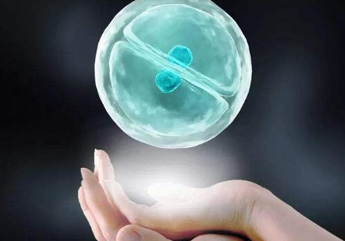 做試管嬰兒究竟要花多少錢(qián)