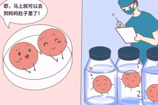 泰國試管嬰兒費用需要多少