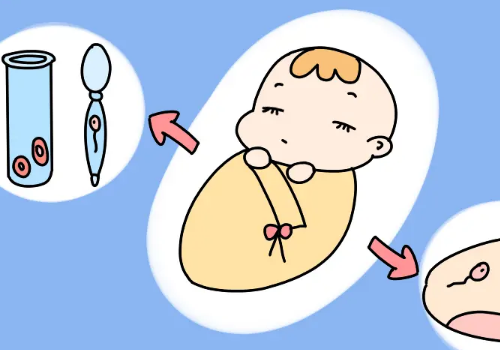 試管嬰兒的過(guò)程是什么
