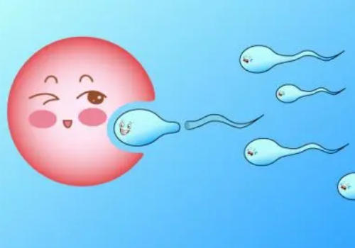 泰國試管嬰兒生孩子流程是什么