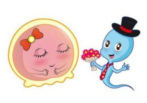為什么泰國試管的性價比高