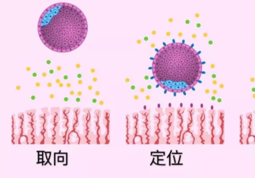 做試管需要多少錢