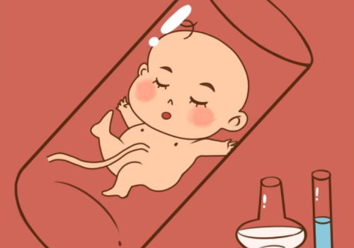 試管嬰兒到底需要多少錢