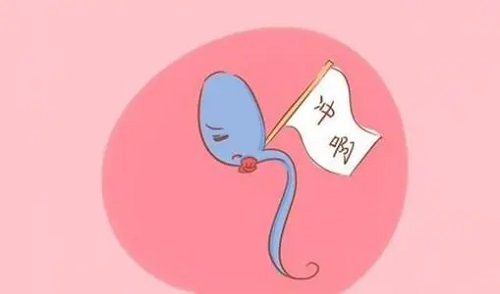 試管嬰兒幾代好？