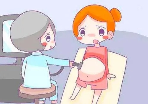 試管多少錢？?