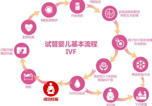 美國試管嬰兒費(fèi)用流程？