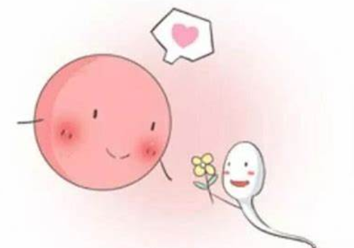 試管嬰兒幾代好
