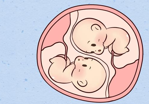 美國加州試管嬰兒？?