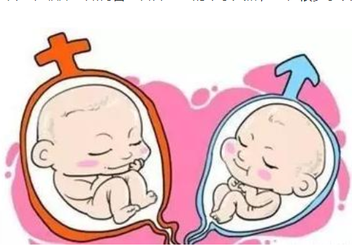 俄羅斯試管哪里好有什么優(yōu)勢？?