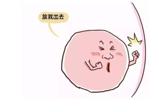 俄羅斯試管哪里好做前準(zhǔn)備哪些？?